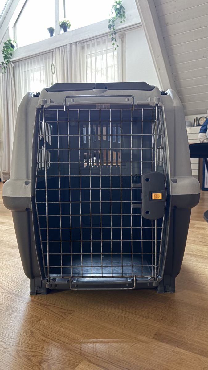 Käfige, Transport & Sicherheit: Hunde Transportbox Skudo Grösse M – Gebraucht aus Dielsdorf von nanita. 2