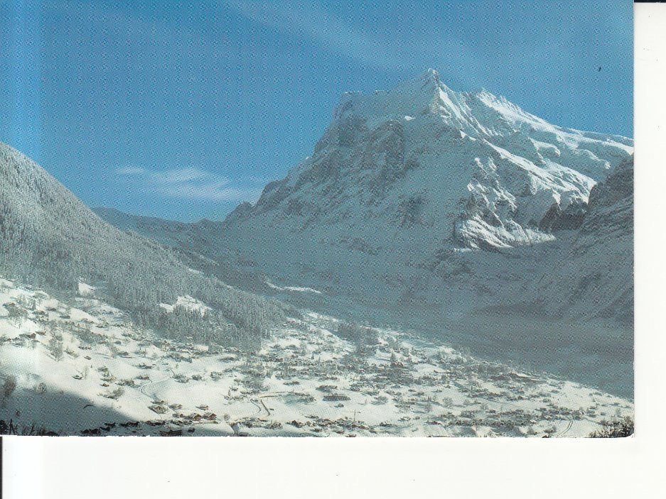 Cartoline postali: Grindelwald 1994 – Usato da Bürglen TG venduto da StampGraf
