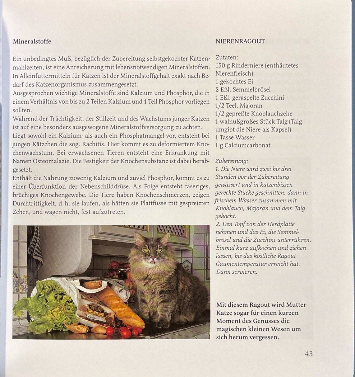 Libri: Sock Marianne, Naschkatzen – Nuovo (secondo la descrizione) da Sarnen venduto da Livres 6