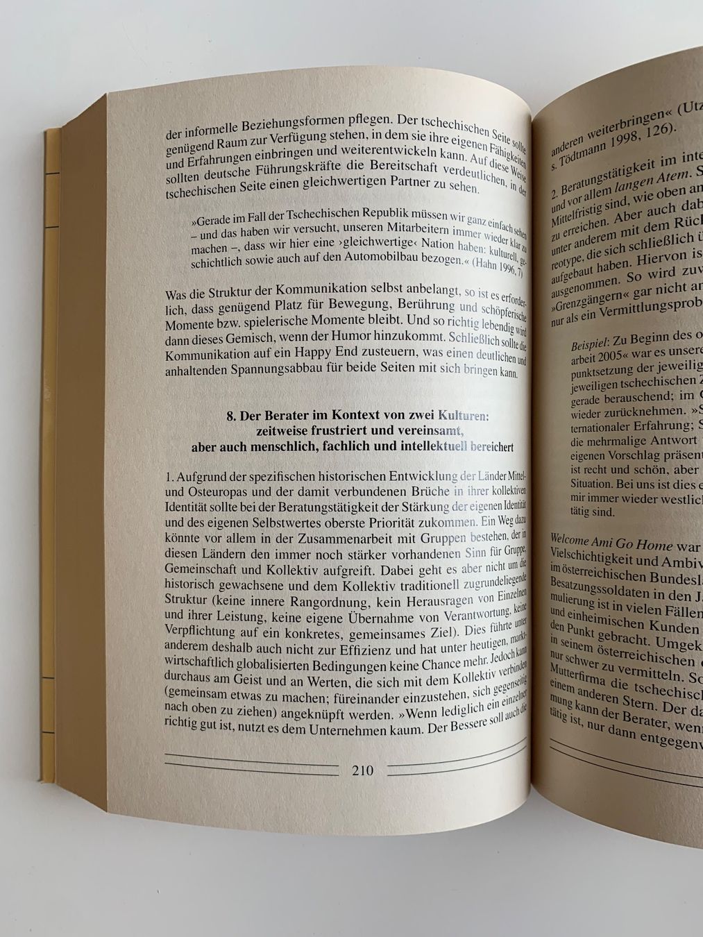Libri: Buch "Interkulturelle Beratung und Mediation" – Usato da Zürich venduto da Leonieonie. 2