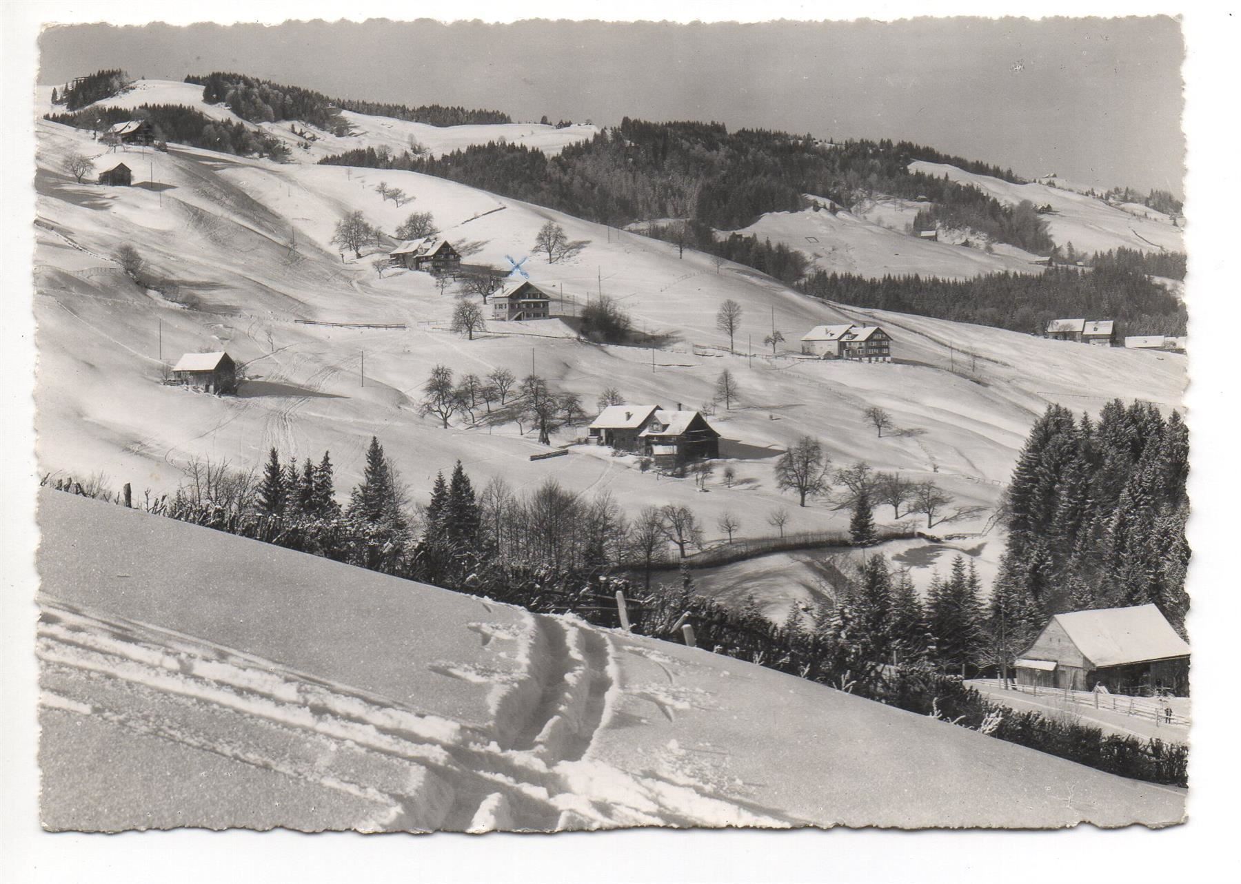 Cartoline postali: EBNAT Ski- und Ferienhaus Stangen – Usato da Jona venduto da philajona
