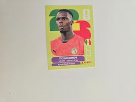 Panini WM 26 - SEN2