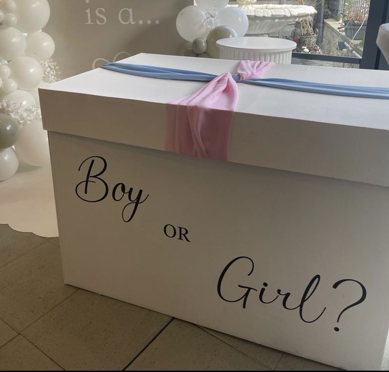 Gender Reveal Karton Box Babyshower Partybox Kaufen auf Ricardo