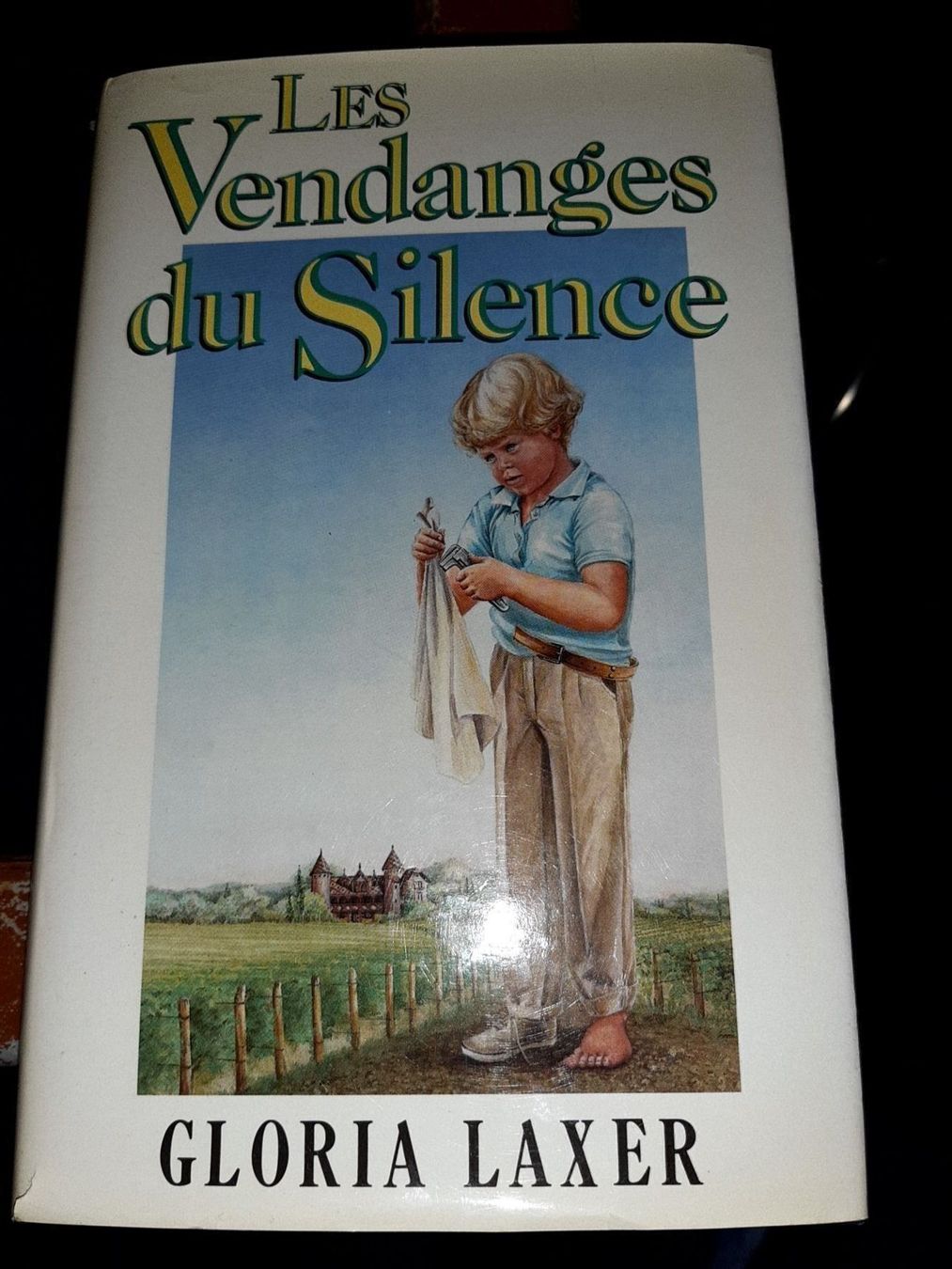 Libri: les vendanges du silence – Usato da Le locle venduto da juliensaran