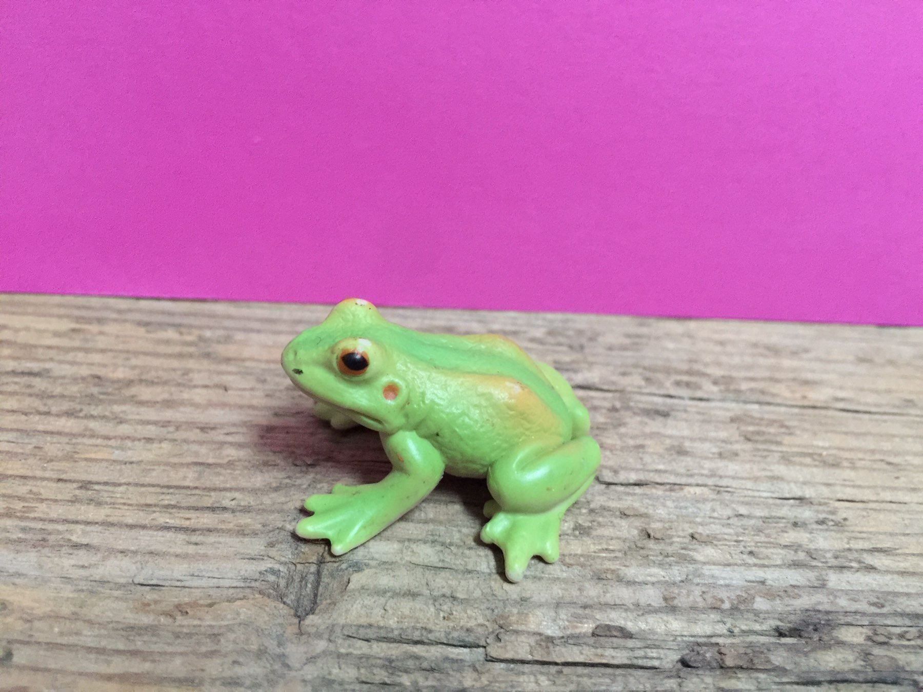 Schleich Statuette: Schleich 14407 Frosch – Usato da Ennetbaden venduto da mapa05 1
