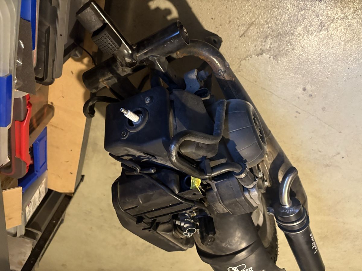 Piaggio Motori: Piaghio Zip 50 Motor – Usato da Bülach venduto da Dave361 4