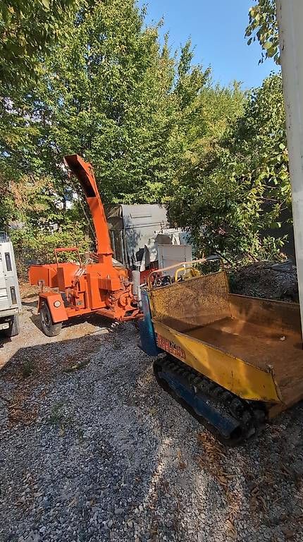 Trinciatrici: Benzinhäcksler Hand – Usato da Hombrechtikon venduto da Stella8 5