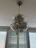 Lampe zu verschenken