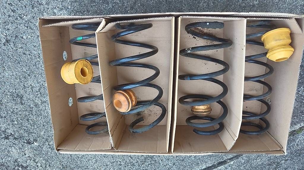 Welt der Tiere: Honda Civic (Generation 8) Federsatz – Gebraucht aus Roggliswil von peterg93 1