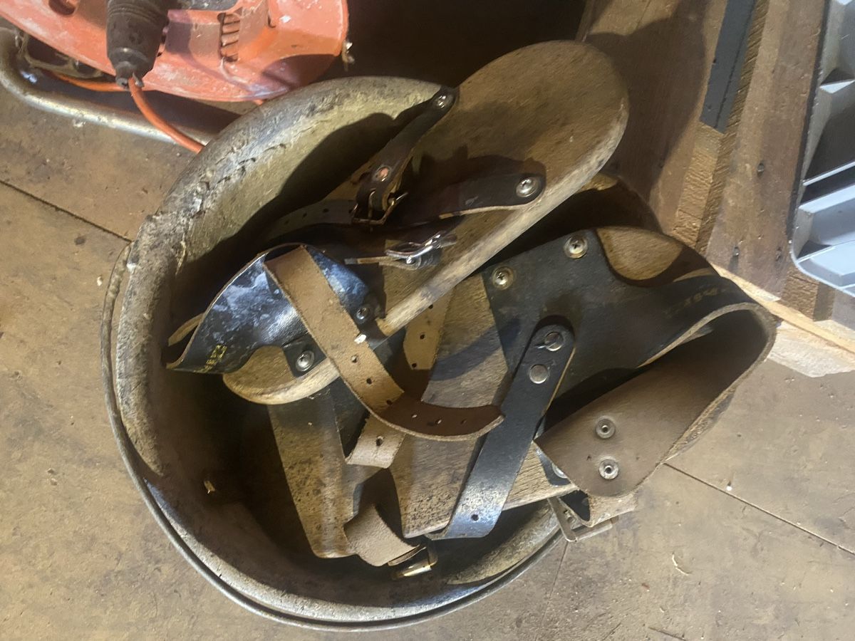 Scarpe da uomo: Belags oder Rasenschuhe – Usato da Menzingen venduto da Edelmuni7