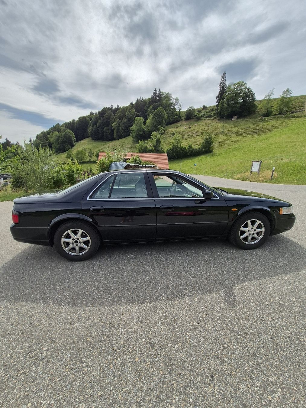 Cadillac Automobili: cadillac seville STS 4.6 32v – Usato da Wald ZH venduto da deralte65 3