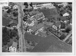 Flugaufnahme Stäfa Bergstrasse - Foto: 90x120mm