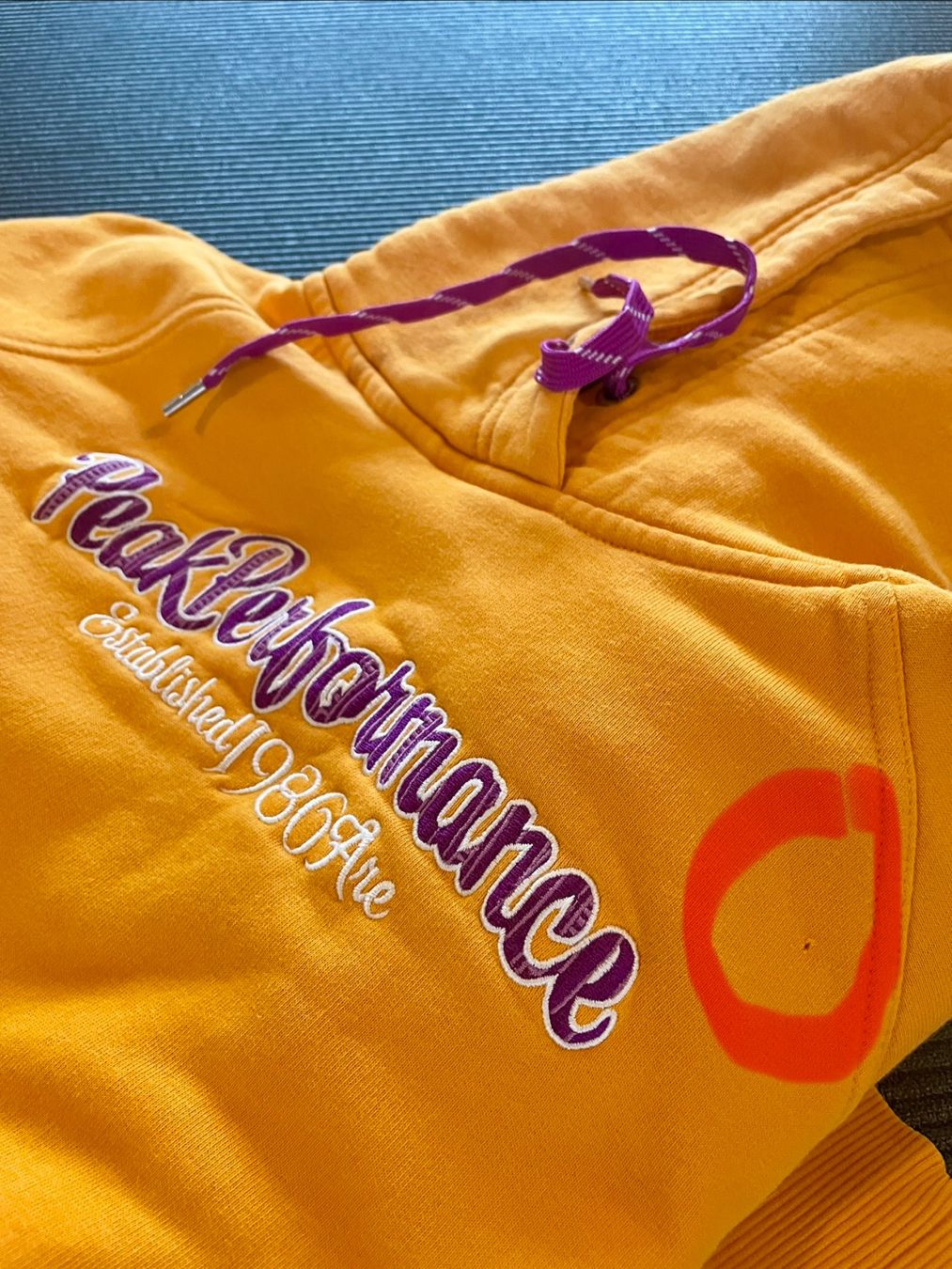 Peak Performance Maglioni & Felpe: warmer Peak Performance Kapuzen Pulli Damen L – Usato da Aeschi b. Spiez venduto da patricianeuhauser 4