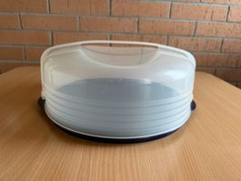 Kuchentransportbox Tortenbehälter blau transparent guter ...
