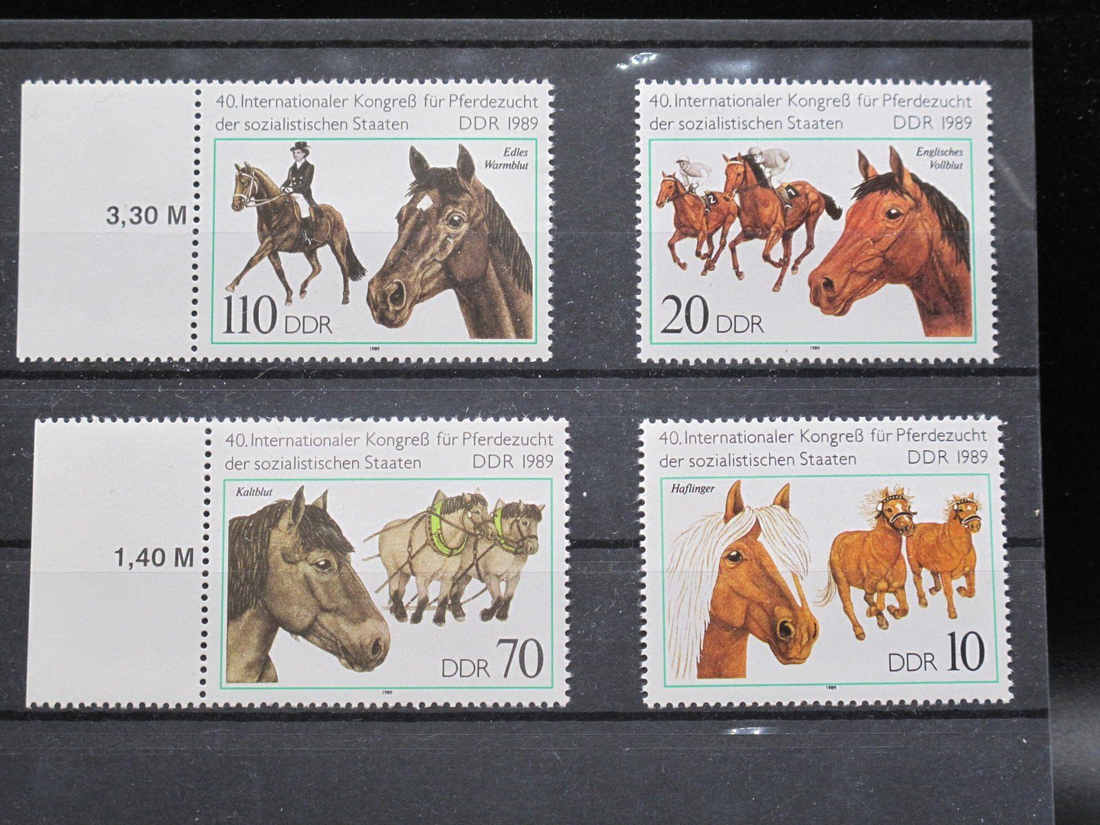 Alle Briefmarken: DDR 1989 Pferdezucht Kongress ** – Gebraucht aus Wil SG von fva01