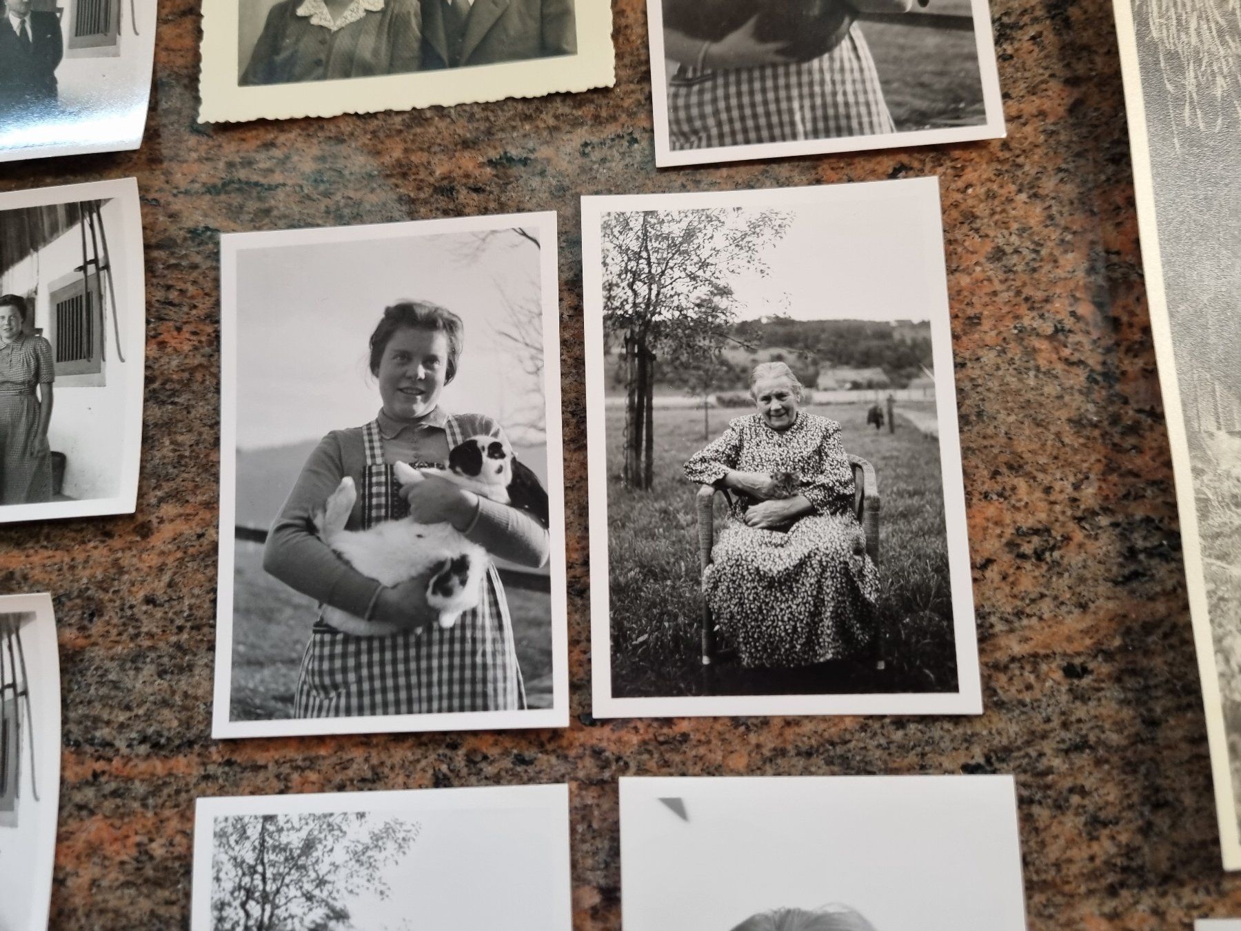 Foto & Immagini: Schaffhausen und Umgebung – Usato da Trachslau venduto da post35 6