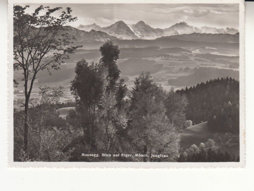Cartoline postali: Moosegg 1953 – Usato da Bürglen TG venduto da StampGraf