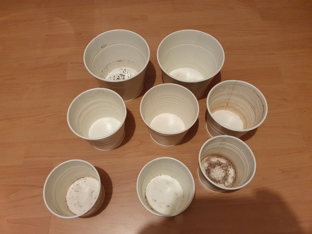 8 Ikea Socker Blumentöpfe, übertöpfe Metall, weiss Kaufen auf Ricardo