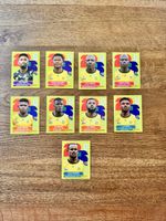 Südafrika WM Sticker 2026 Panini 