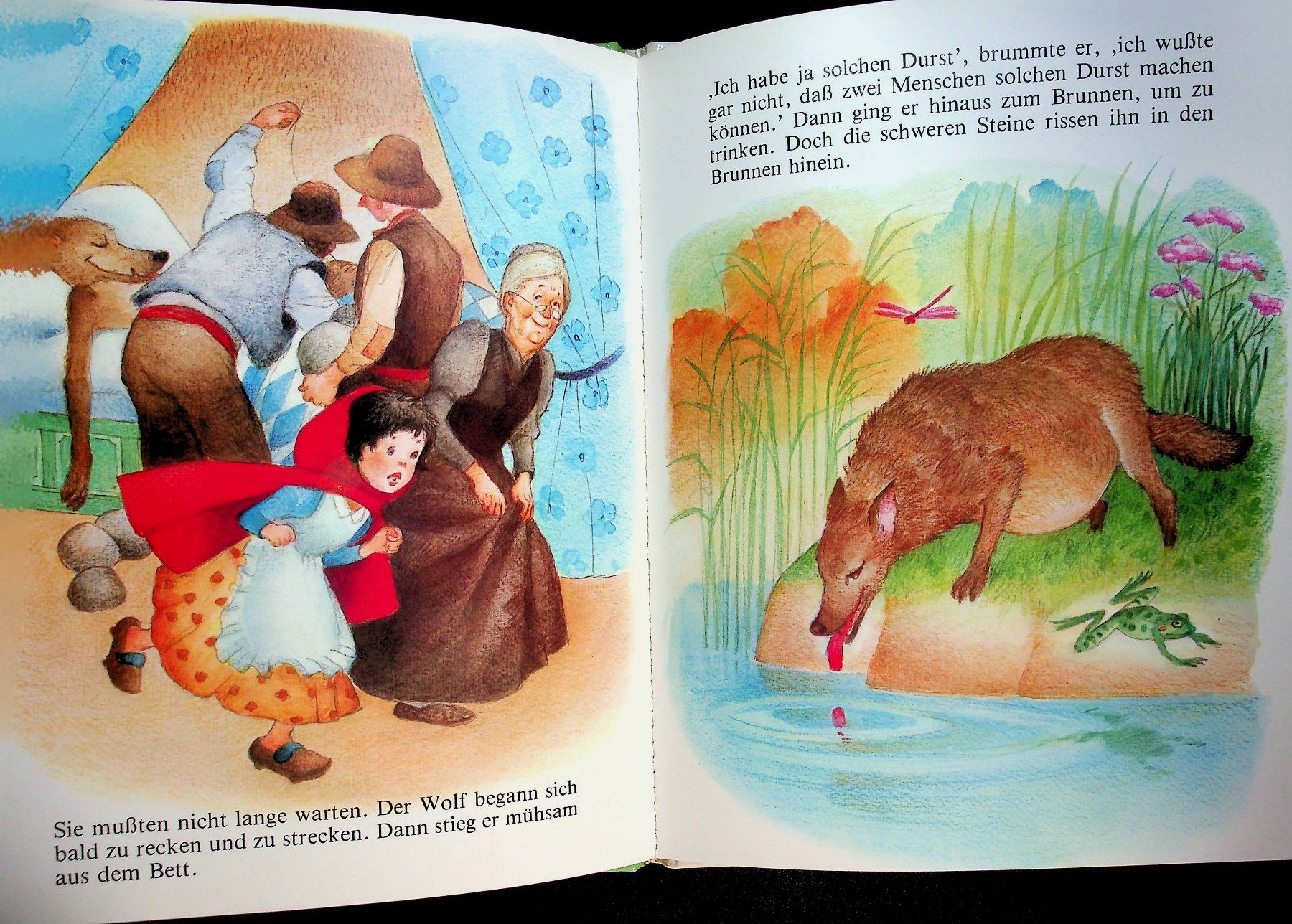 Bücher: Brüder Grimm Rotkäppchen D. Flemes/ J.L.Macias S. – Gebraucht aus Reitnau von Zaomir 5