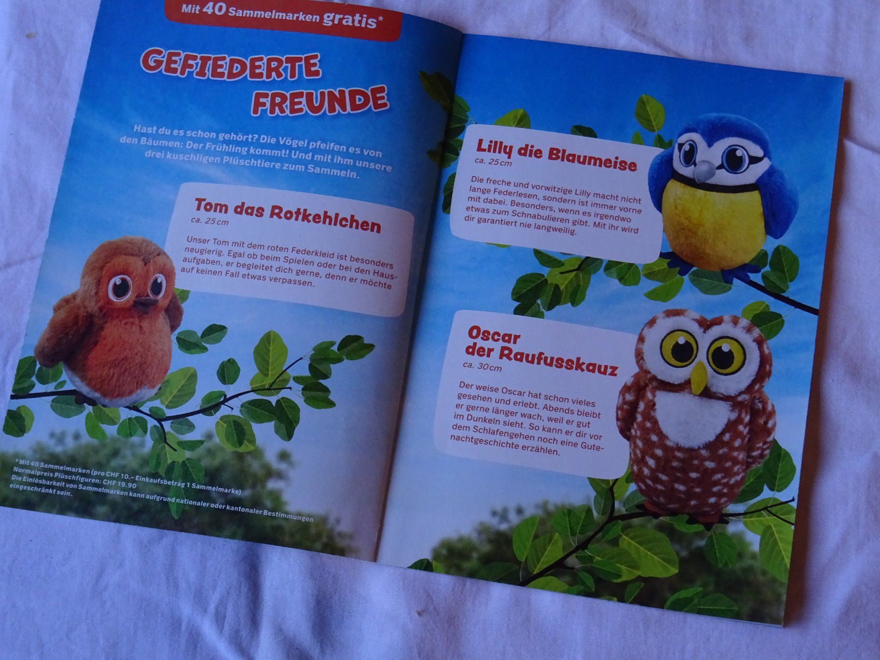 Coop Figuren: 3 Coop Das grosse Zwitschern – Neu und originalverpackt aus Rothrist von heinrich1966 5