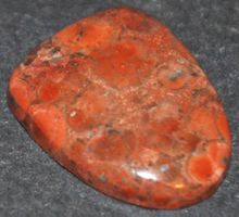 Cabochon L-8262 – Versteinertes Holz 21x17mm