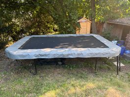 Trampolin Crocodile