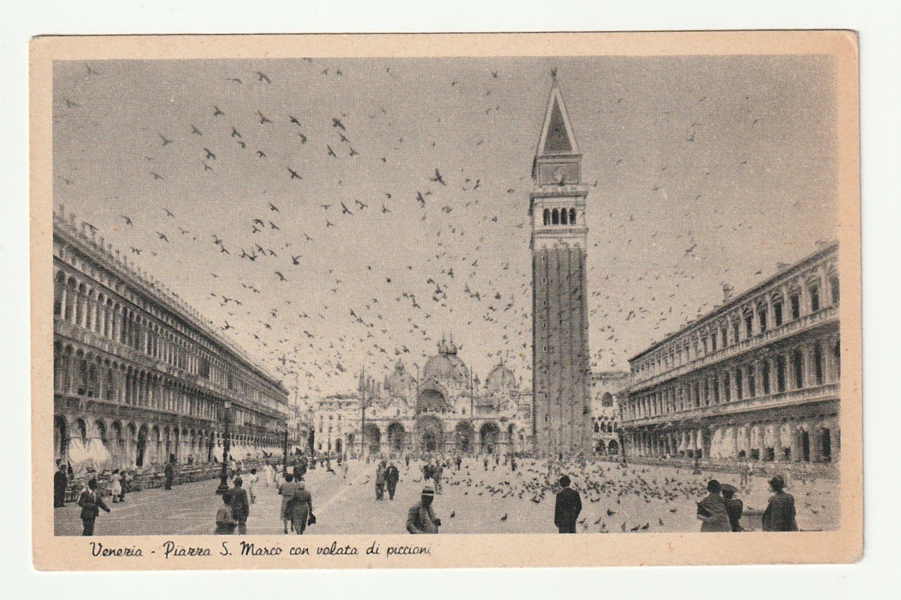 Cartoline postali: Postkarte Venedig Piazza San Marco mit Tauben – Nuovo (secondo la descrizione) da St. Gallen venduto da Ricardo_Deals