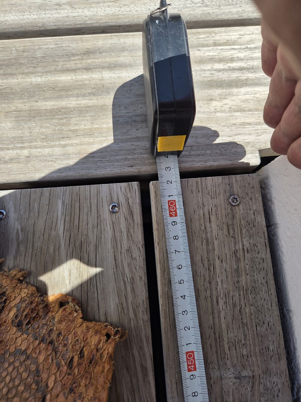 Tessuti: Schlangenhaut Python braun gemustert ca. 450 cm – Nuovo (secondo la descrizione) da Kreuzlingen venduto da gogi3 4