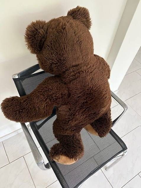 Steiff Giocattoli: Steiff Teddy Bär Molly XXL – Nuovo (secondo la descrizione) da Egg b. Zürich venduto da eve_h8pg 4