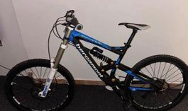 Bergamont Downhill