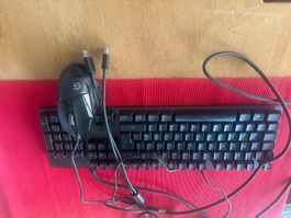 Logitech G413 Carbon Tastatur und Maus
