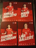 SFV Fussball-Mix 3 - 4 Autogrammkarten - Set