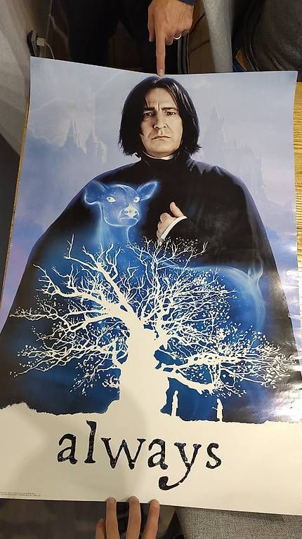 Foto & Immagini: Poster Harry Potter – Usato da Champagne venduto da jan_vcd5