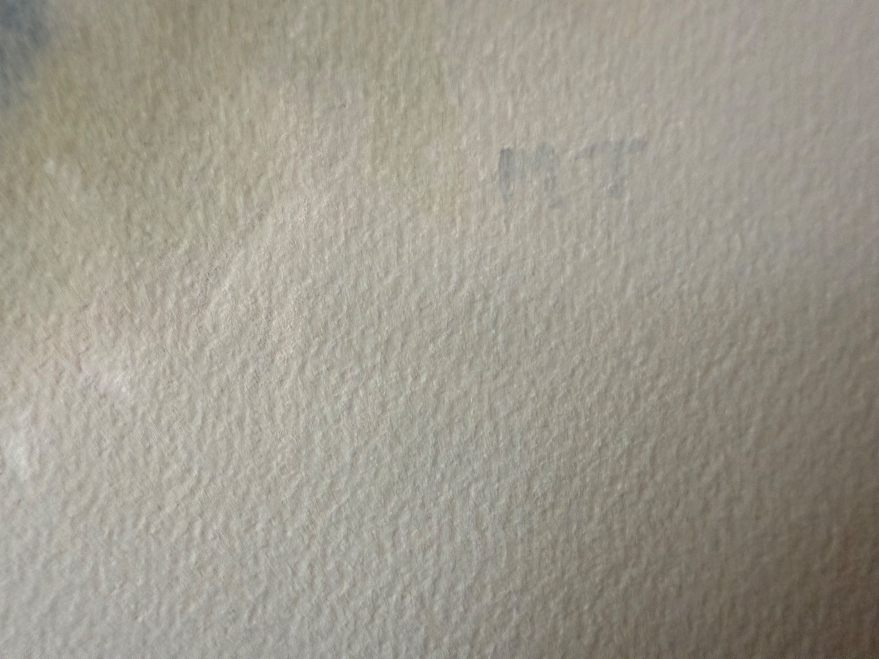 Dipinti: Orginal Aquarell, Maria Toman – Usato da Altstätten SG venduto da mhu_k9gj 5