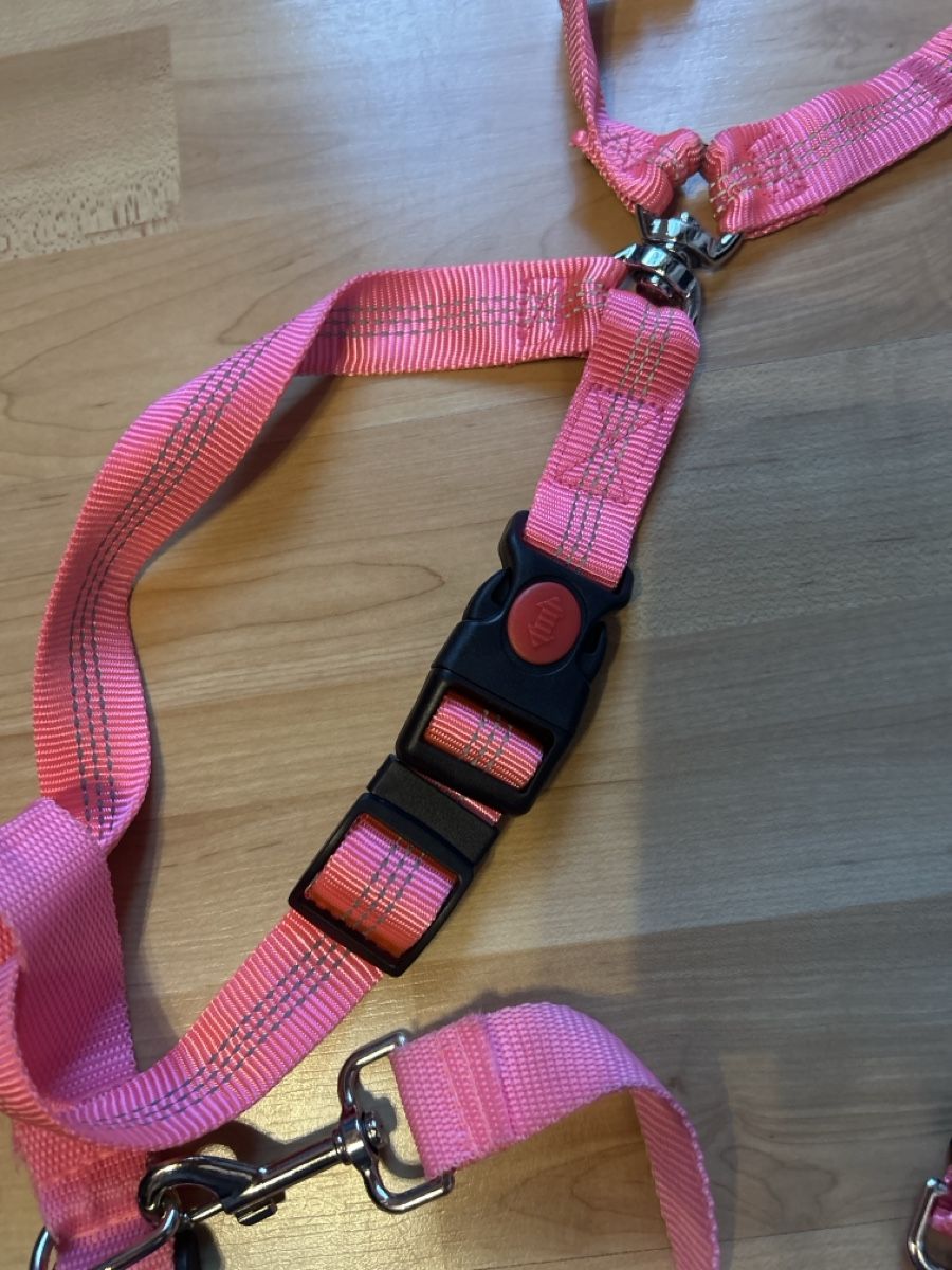 Guinzagli & Collari: Doppel Hunde Jogging Leine, Rosa – Usato da Mühledorf SO venduto da Dania77 2