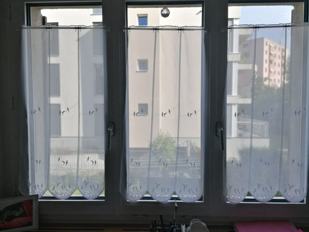 Rideaux Blancs Oiseaux Kaufen Auf Ricardo