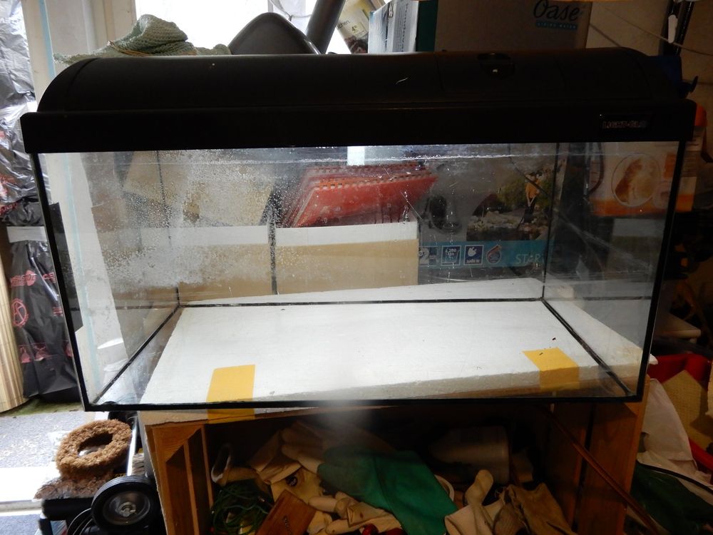 Kleines Aquarium Kaufen auf Ricardo