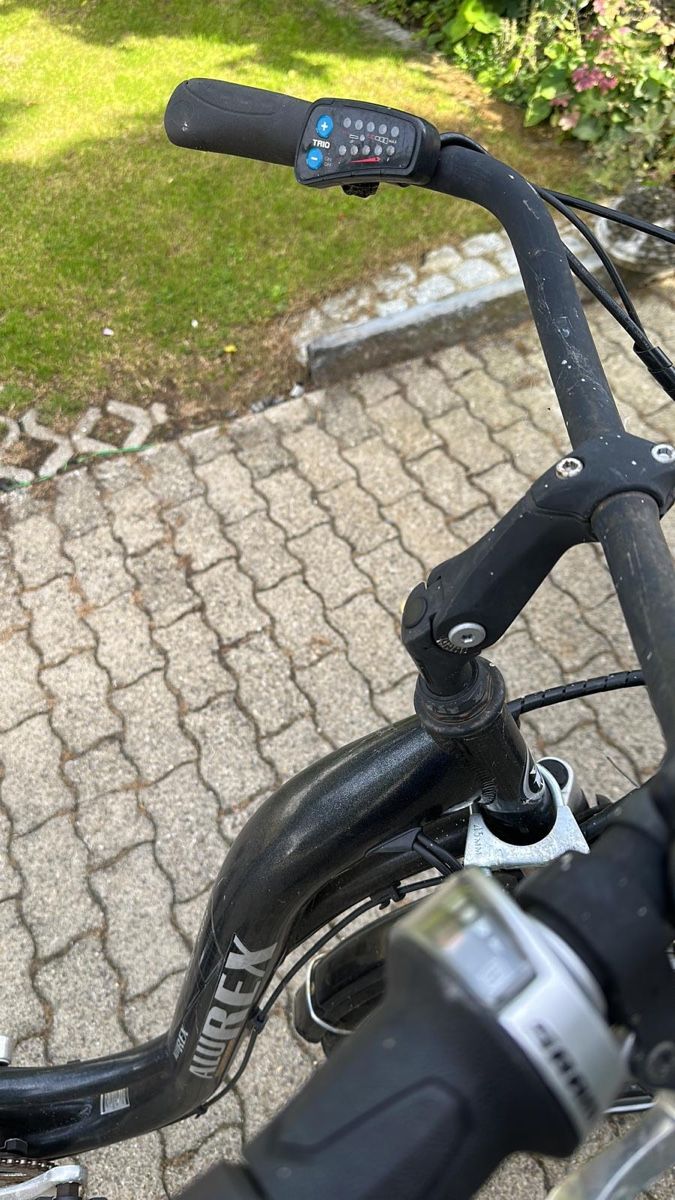 Biciclette: Alurex E-Bike  – Usato da Bottighofen venduto da klurmani 2