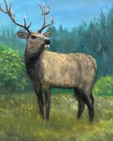 Hirsch Gemälde 50x40cm