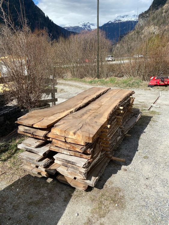 Nussbaum Klotzbretter 1