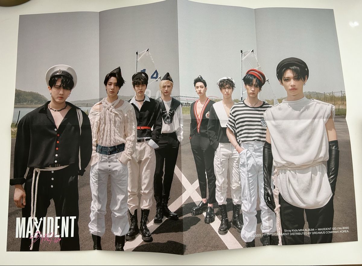 Alben: Stray Kids Album Maxident ver. GO – Neu (gemäss Beschreibung) aus Rupperswil von van_tyy6 3