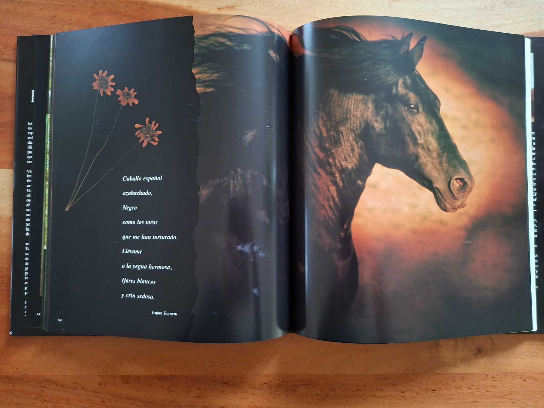 Libri: Robert Vara; Buch "El Caballo Espanol" / Spanische Pferde – Usato da Boniswil venduto da Totomat-Lady2 3