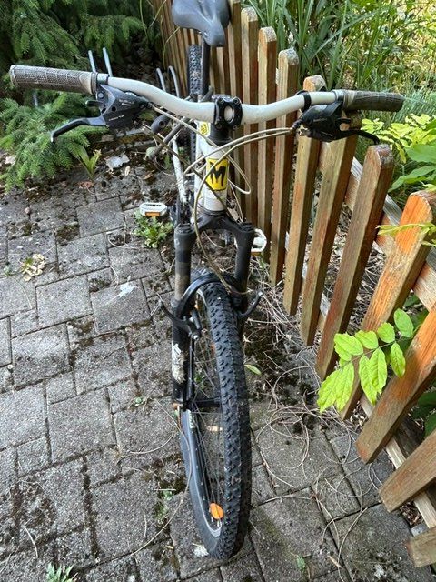Scott Biciclette: Jugendfahrrad Scott – Difettoso da Schmitten FR venduto da Ogeli 2