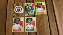 Panini Fussballkarten Haiti Sammlung guter Zustand