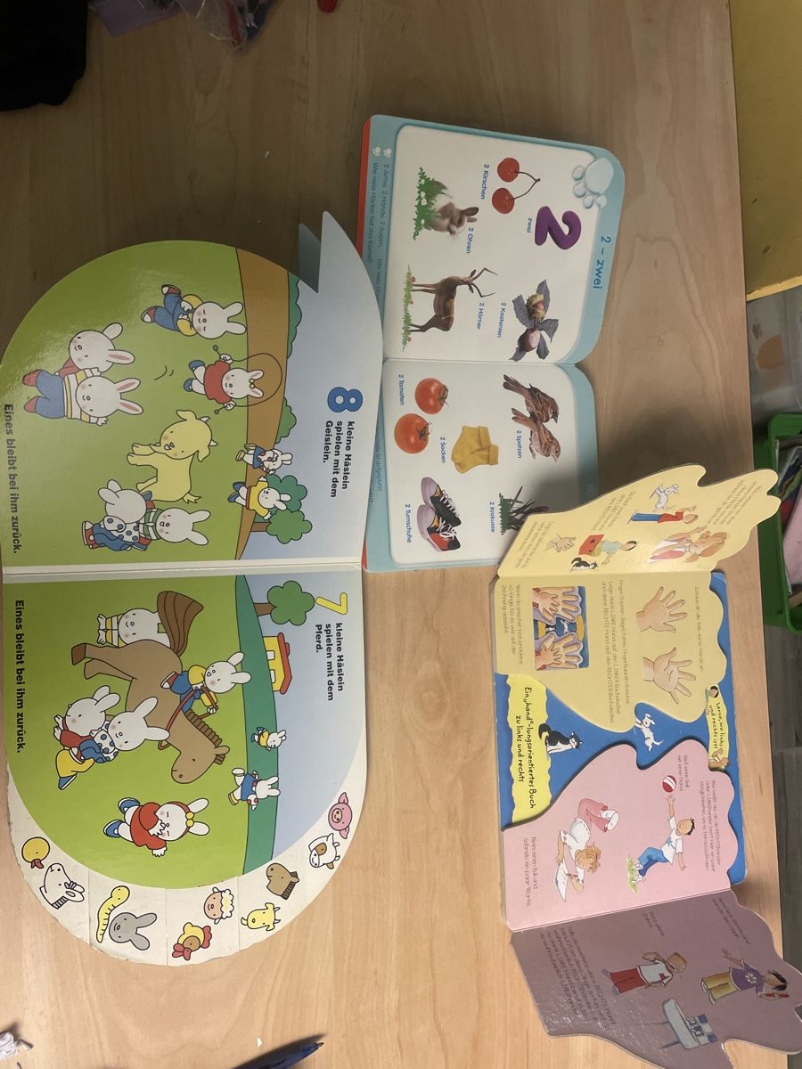 Libri: 3 Kinder Kartonbücher: Zählen, Farben, Links & Rechts – Usato da Obergerlafingen venduto da cabo4 1