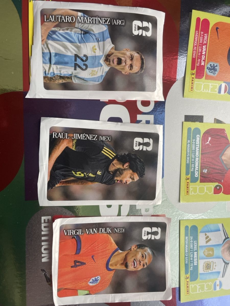 Panini Carte collezionabili: Panini – Usato da Wetzikon ZH venduto da Rasalingam 5
