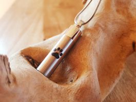 Ascheschmuck Zylinder mit Pfote