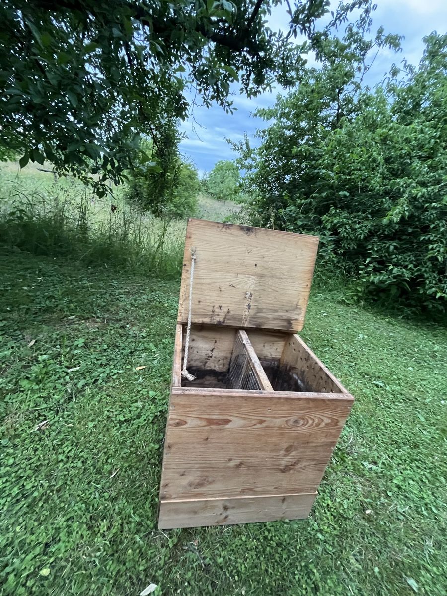 Box contenitori: Wurmkompost – Usato da Zollikofen venduto da naominoelle 3