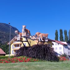 Profile image of MogTim
